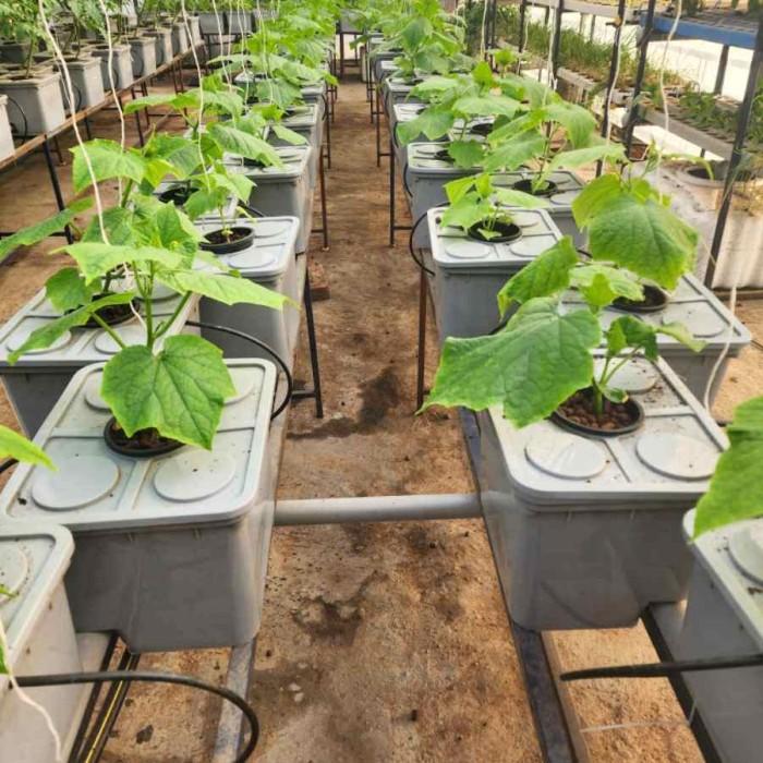 10 Grow Bucket ZigZag Hydroponics System